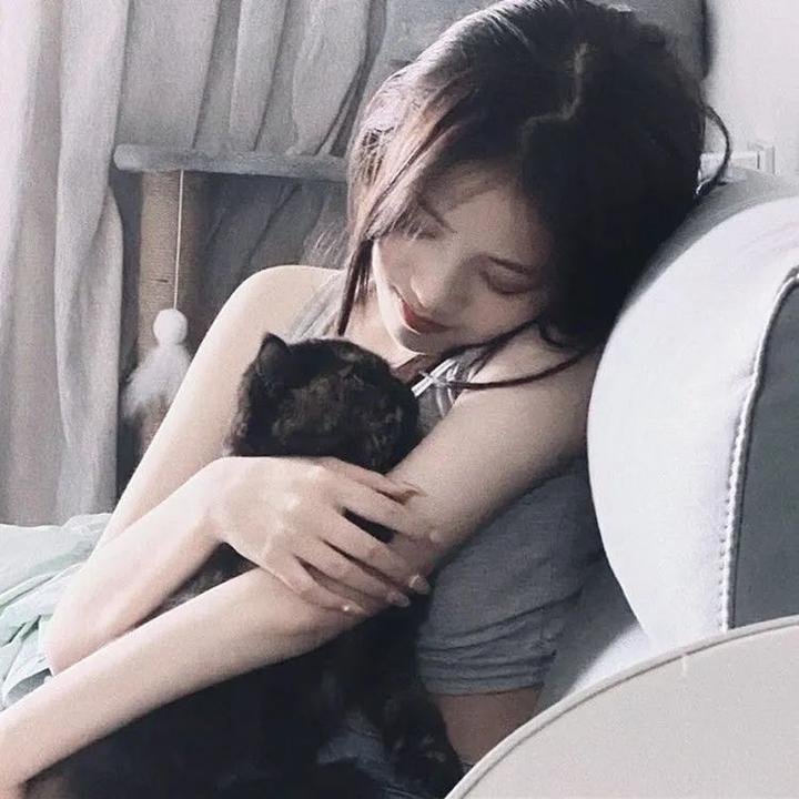 猛虎制黑龙