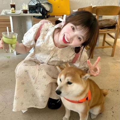 追逃